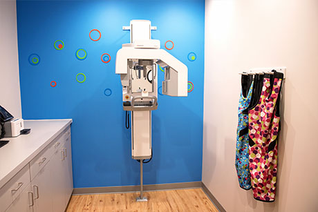 Pediatric Dentist in Hales Corners, WI